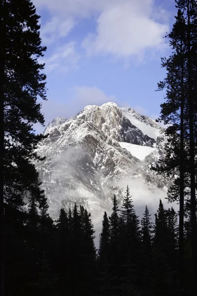 Kaskadenberge im Banff — Stockfoto