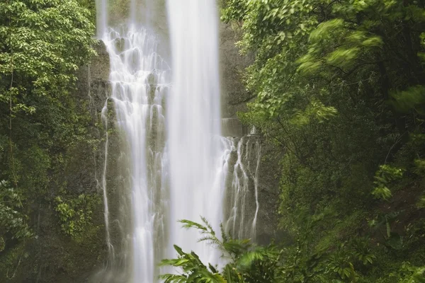 Cascata nella foresta — Foto Stock