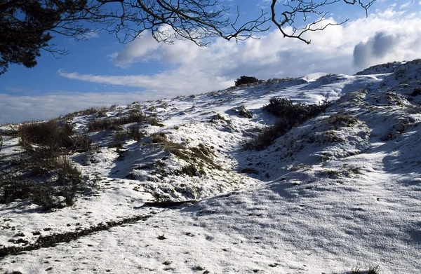 在冬天，德比郡，英格兰的 longshaw 房地产 — 图库照片