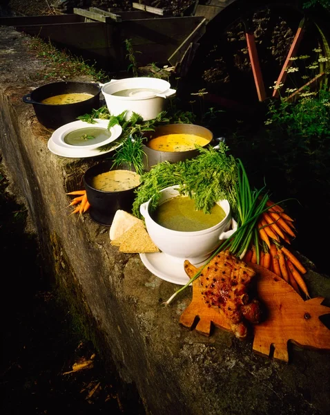 Forskellige traditionelle irske supper - Stock-foto