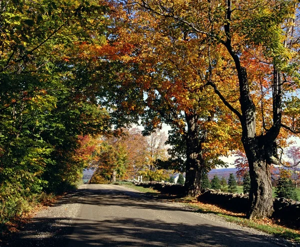 Route en automne — Photo