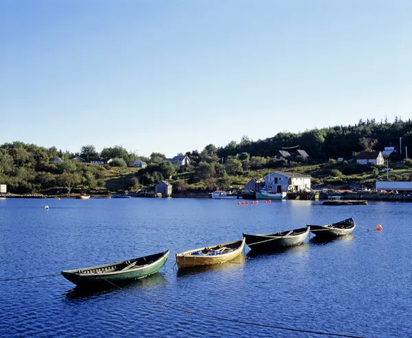 Four Canoes Lined Up In The Water Close To Shoreline — Stock Photo, Image