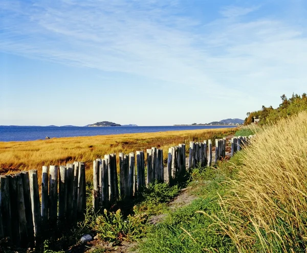 Staket längs en strand — Stockfoto