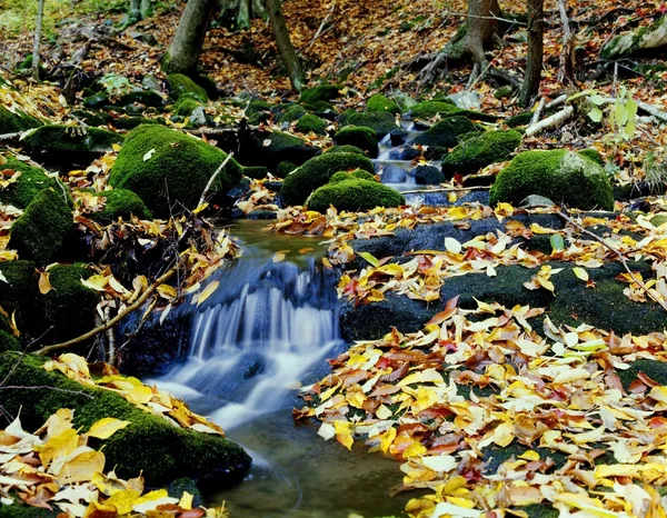 Una corriente que fluye en otoño — Foto de Stock