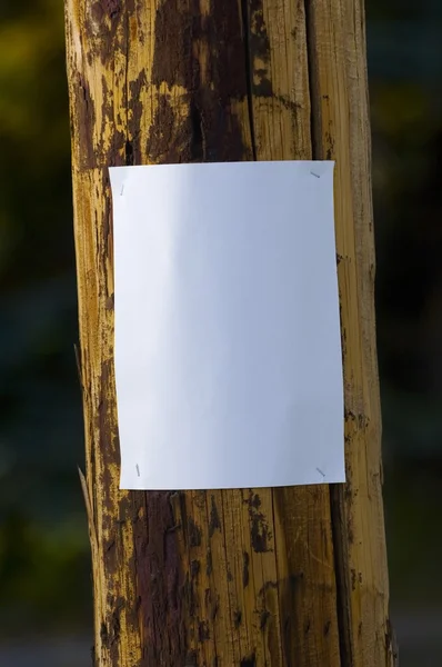 Cartel en blanco en un poste telefónico — Foto de Stock