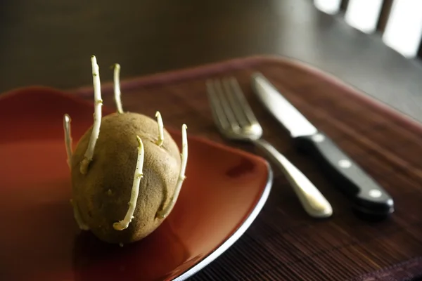 Old Sprouting Potato On Plate — Stock Photo, Image