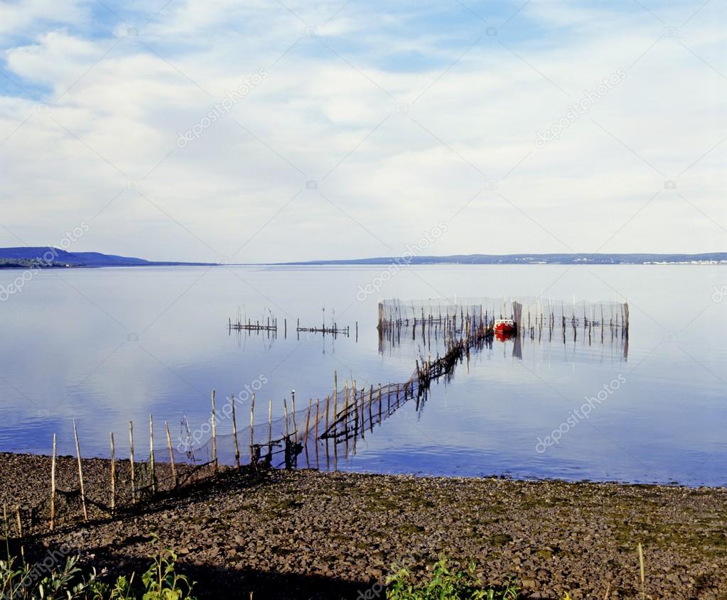 Lobster Trap