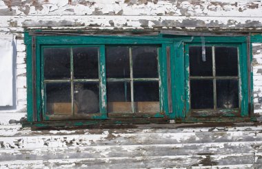 kedi dövülerek hava kır evi pencereden dışarı bakarak