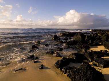kayalık sahil, poipu, kauai, hawaii
