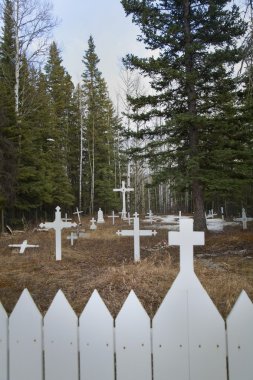 Crosses In A Cemetery