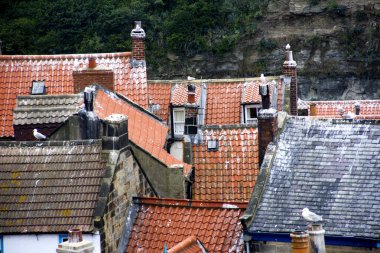 çatıları, staithes, north yorkshire, İngiltere