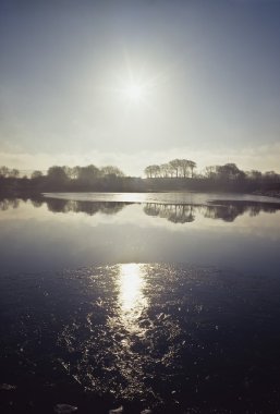 Co wicklow, tomruk, vartry rezervuar