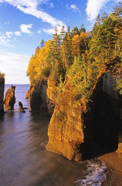 Hopewell Rocks, Shepody Bay, New Brunswick, Canada clipart