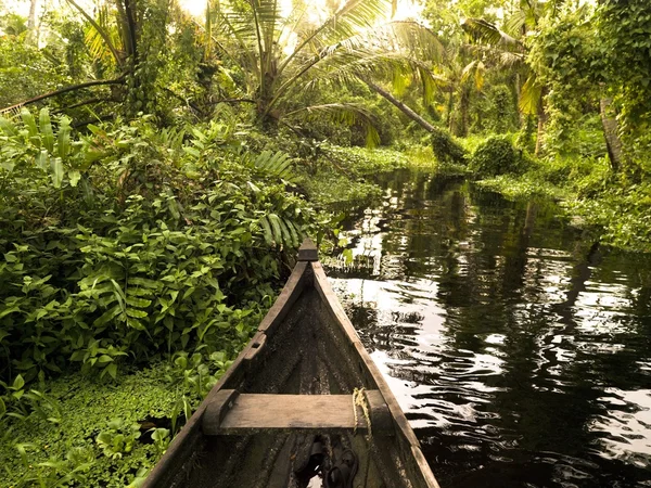 Canoa na selva, Kerala, Índia — Fotografia de Stock