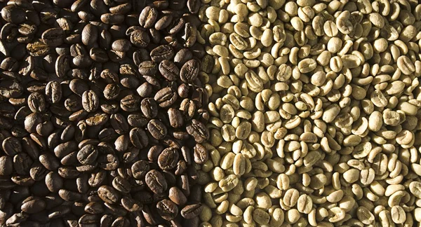咖啡豆，黑暗与光明 — 图库照片