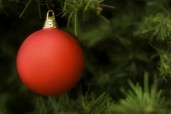 Ornamento de Natal pendurado em uma árvore — Fotografia de Stock