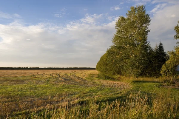 Rural Manitoba, Canadá — Fotografia de Stock