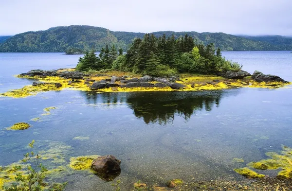 附近激流里, 塔拉半岛，纽芬兰，加拿大的湖 — 图库照片