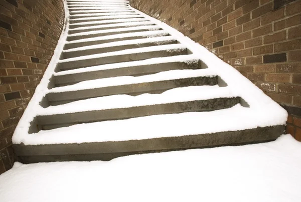Karlı adımları — Stok fotoğraf