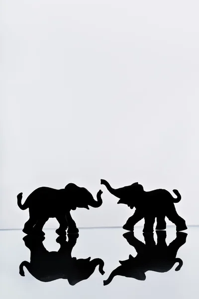 Riflessione coppia elefante — Foto Stock