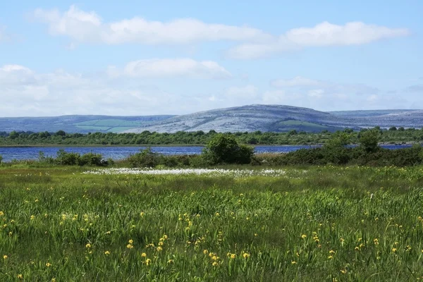 At the foot of the Burren — Stock Photo, Image