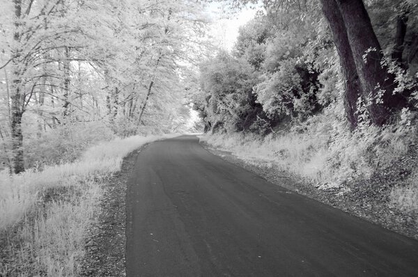 Road Along West Fork Of San Gabriel River, Калифорния, Сша
