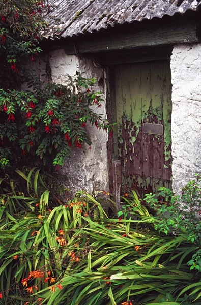 Porta velha da casa de campo — Fotografia de Stock
