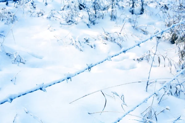 Nieve recién caída en una cerca de alambre de púas — Foto de Stock