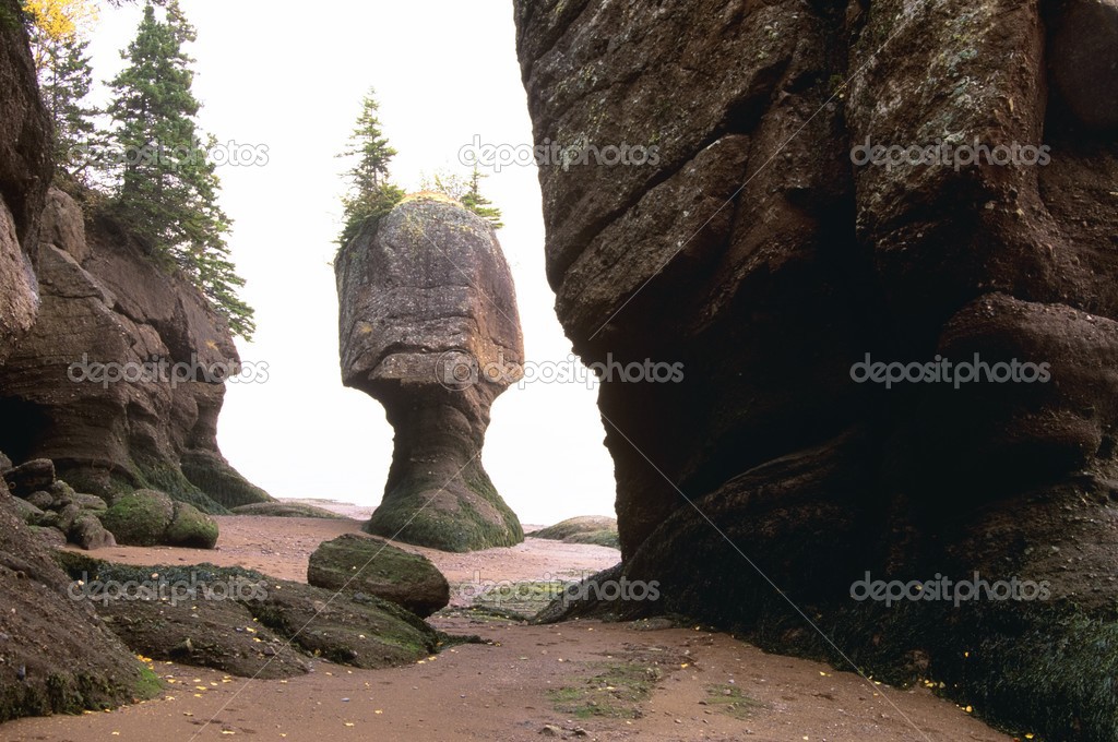 Flowerpot Rock, Hopewell Rocks, Shepody Bay, New Brunswick, Canada