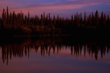 ağaçlar yansıyan su, nwt, Kanada