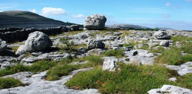 rockgarden manzara