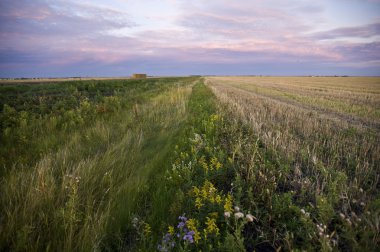 The Prairies, Manitoba, Canada clipart