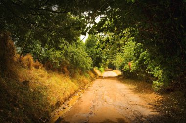 Toprak yol.
