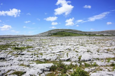 Görünüm rock peyzaj