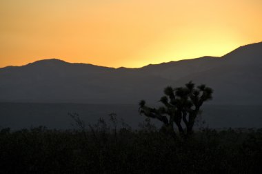 Tehachapi mountains, sunset clipart