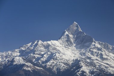 machapuchhre ya da annapurna bölgenin Nepal pokhara, nepal yakınındaki fishtail Dağı