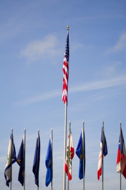 Amerikan bayrağı, birden çok bayraklar