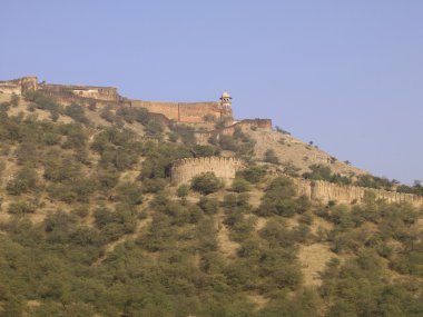 Amber fort, jaipur, Hindistan