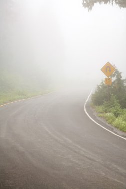 sisli road, rainier Dağı Milli Parkı, washington, ABD