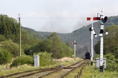 levisham, İngiltere'de parça boyunca gelen tren