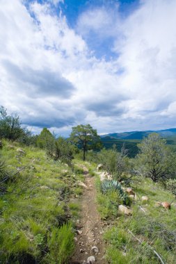 New mexico, ABD. gila dağlarda yürüyüş iz