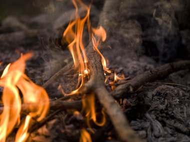 A Campfire clipart