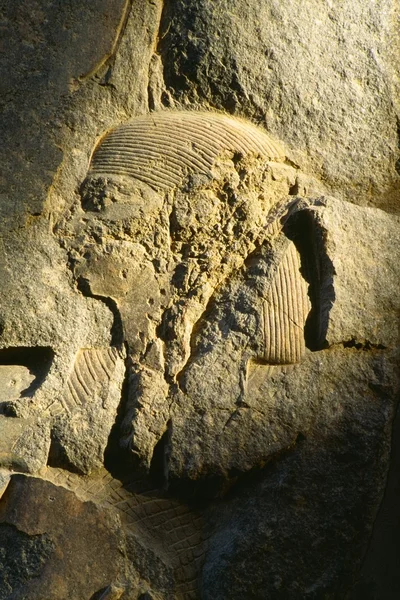 Alívio de pedra, Templo de Luxor, Luxor, Egito — Fotografia de Stock