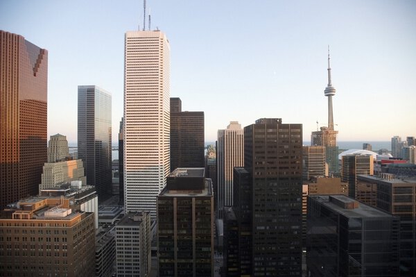 Вид города на небоскребы и здания
