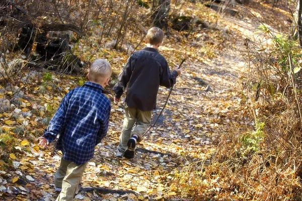 Achteraanzicht van jongens wandelen — Stockfoto