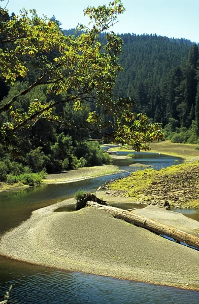 Eureka, California, EE.UU. Río corriendo a través de un bosque — Foto de Stock