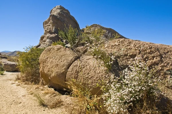 Скельні утворення в пустелі Мохаве, Каліфорнія, США — стокове фото