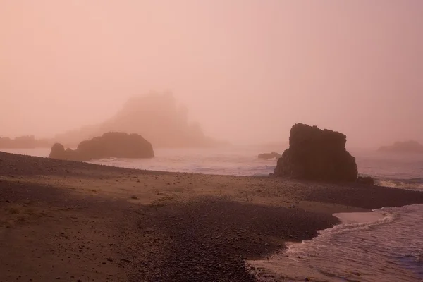 朝の霧、cobel ビーチ、ヤーキーナ ヘッド、オレゴン州の海岸、米国 — ストック写真