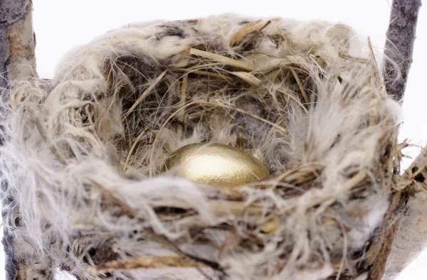 Golden Egg In A Nest — Stock Photo, Image