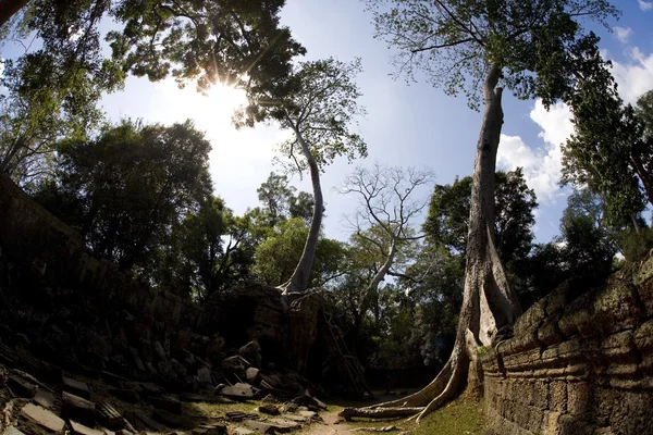 Temple Ruins In The Ancient City Of Angkor Wat, Northwestern Cambodia — Stock Photo, Image